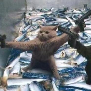 好雨知时节～～