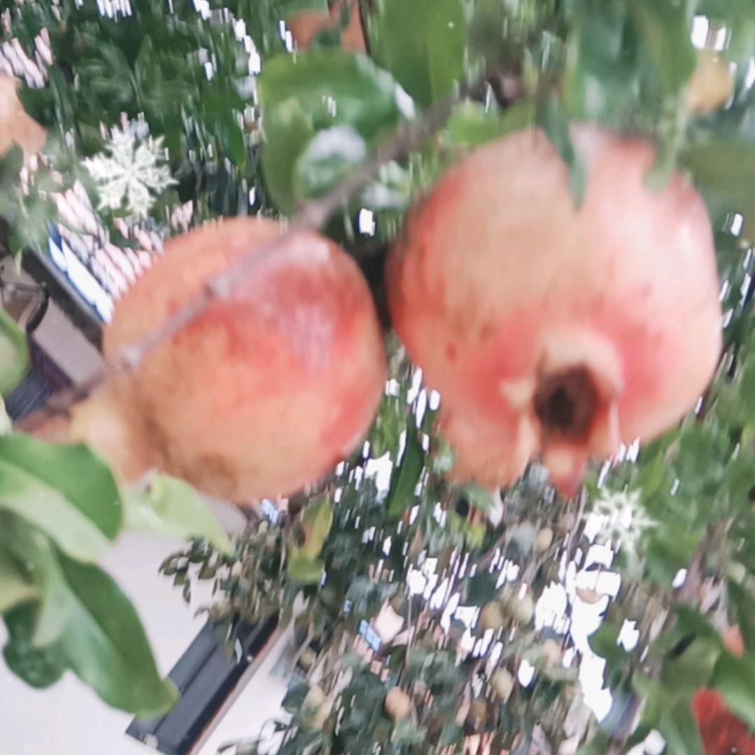 如意