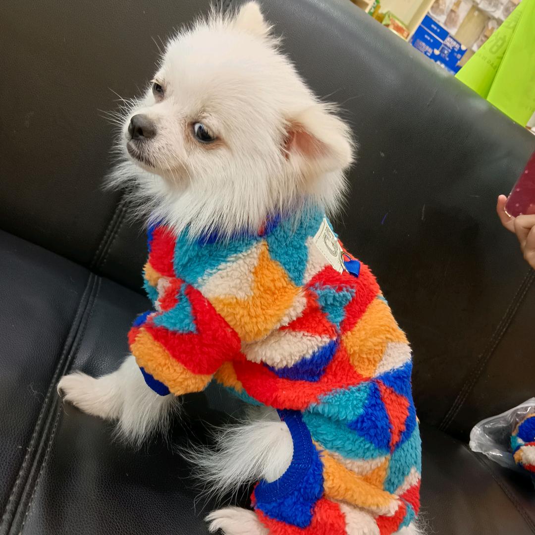 妹娃儿宠物用品