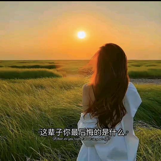 带刺的玫瑰