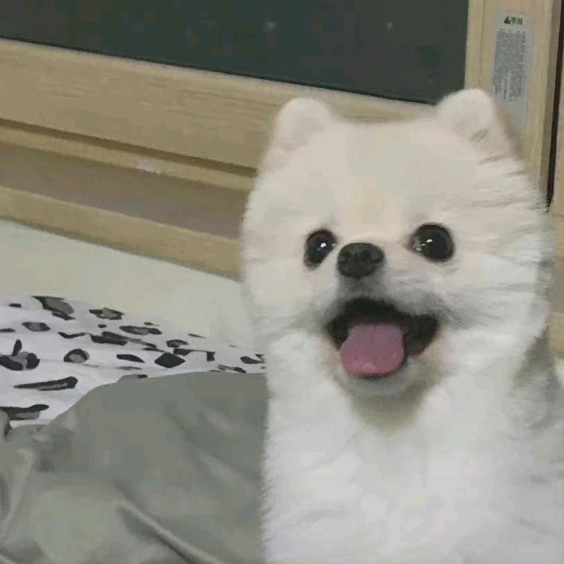 笨蛋绿茶_larss