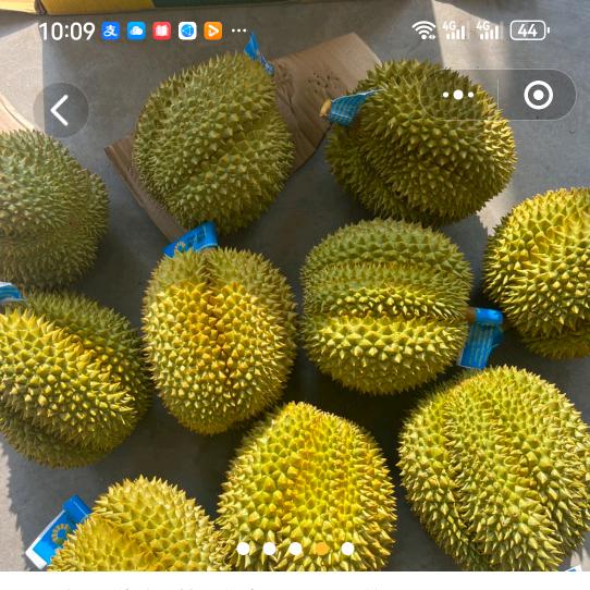 刘鑫鑫