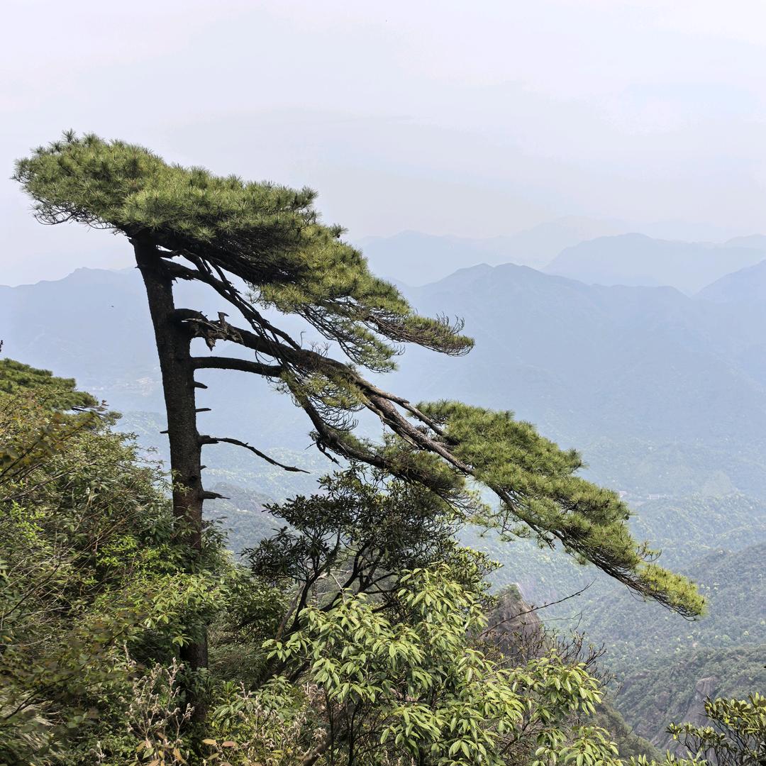 什么情况