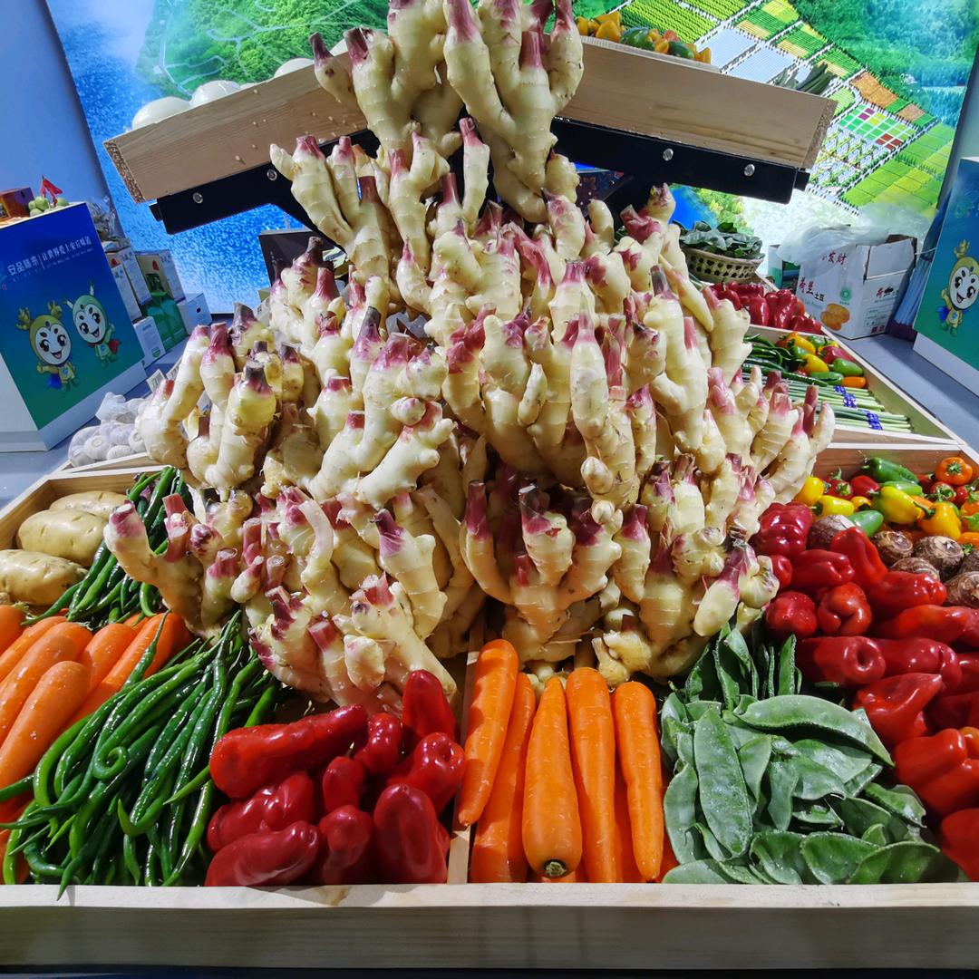 万吨小冷库出租