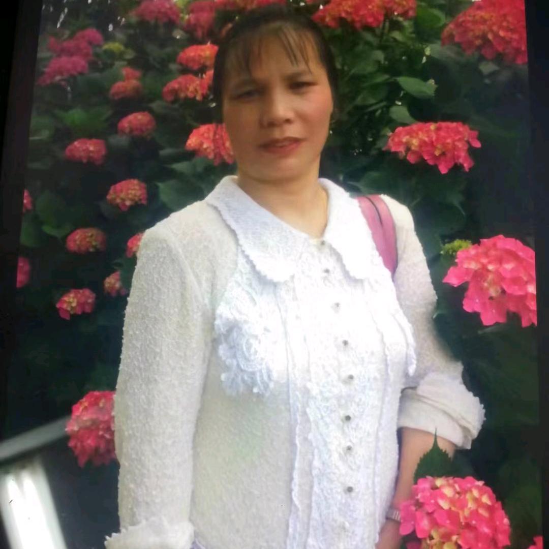 开心的叶子
