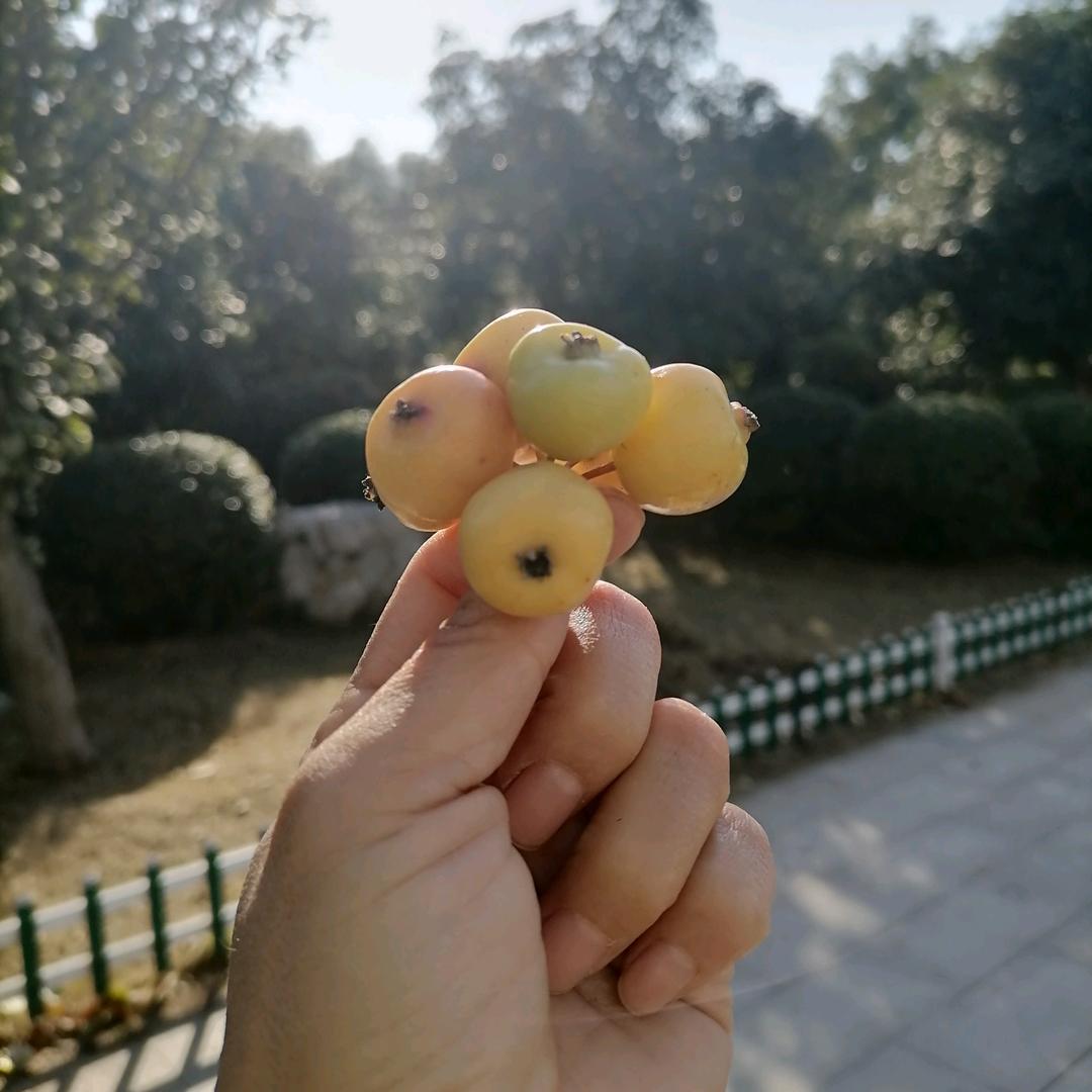 张张爱发疯