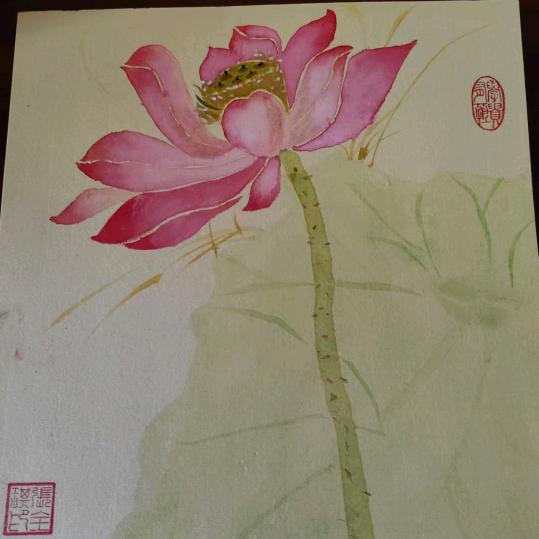 休闲时光⁹²⁰👑