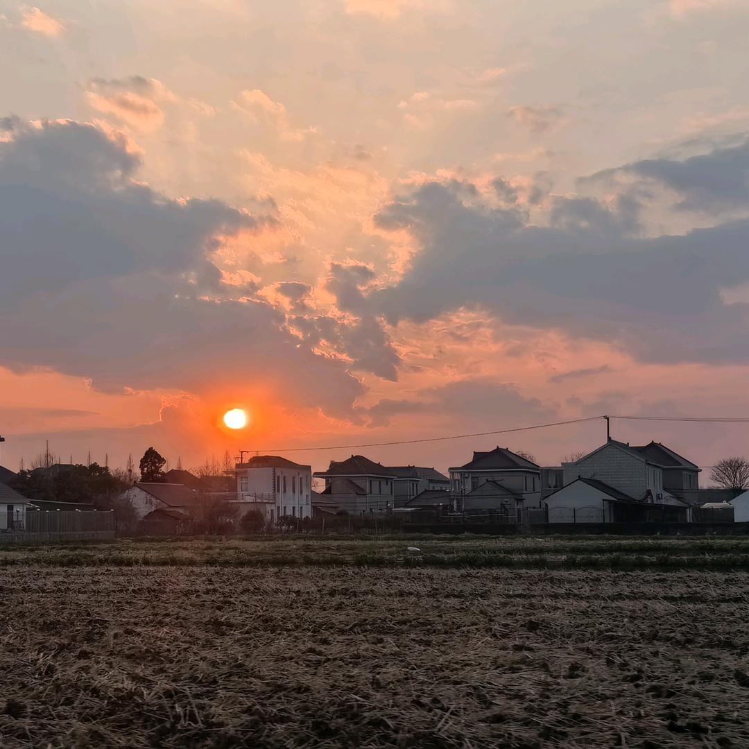 李李李