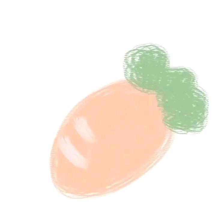 胡萝卜🥕
