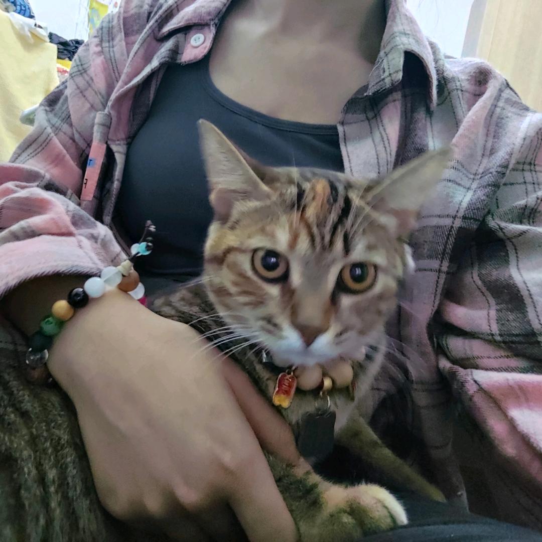 向着海平线奔跑