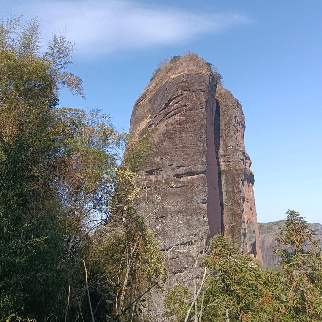 向钱看¥往厚看