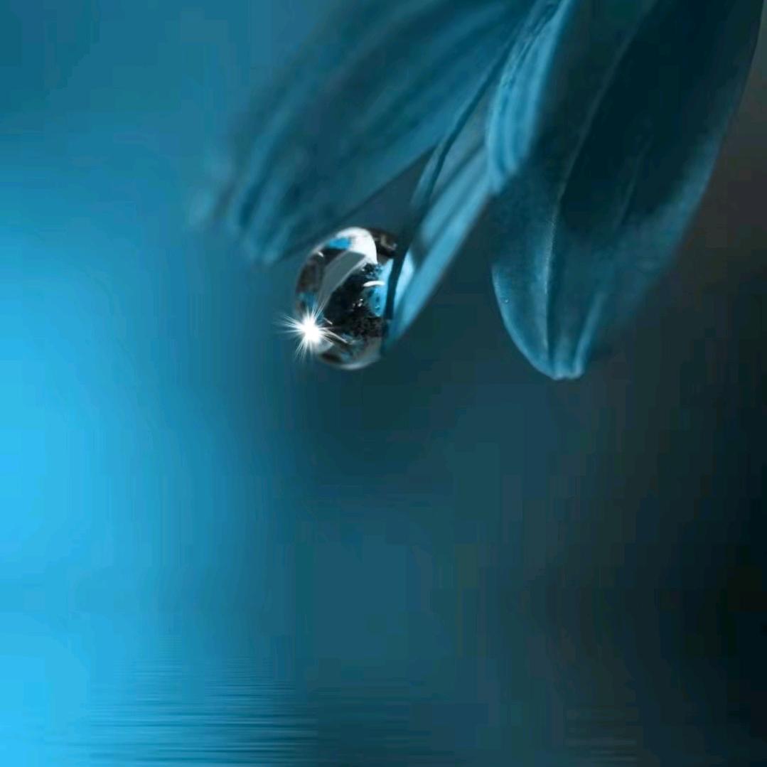 时光一去不再回