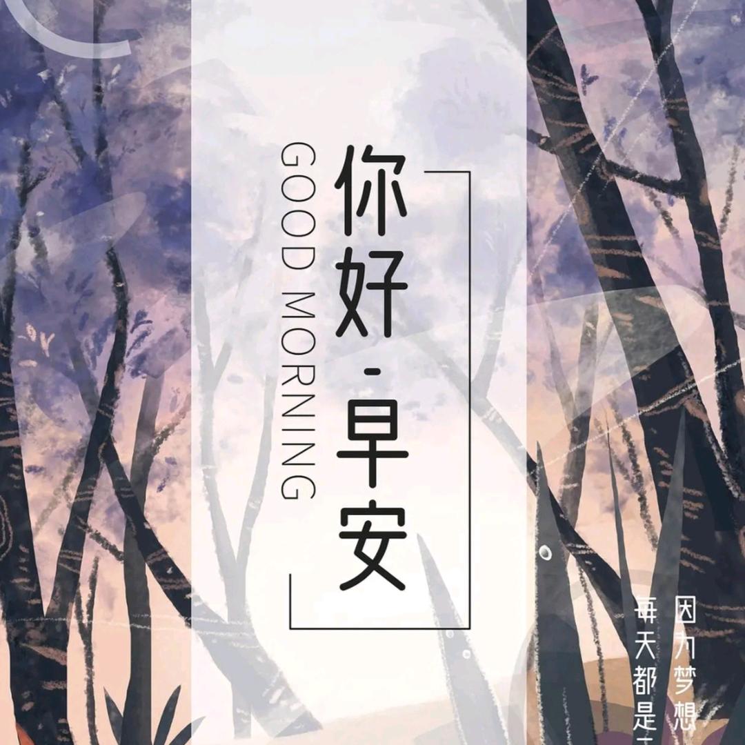 沫沫