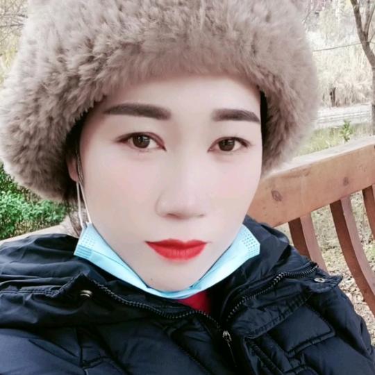 孤独的小金鱼