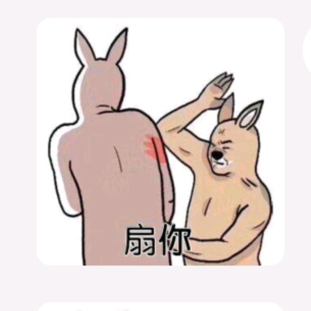 开心的小麻瓜