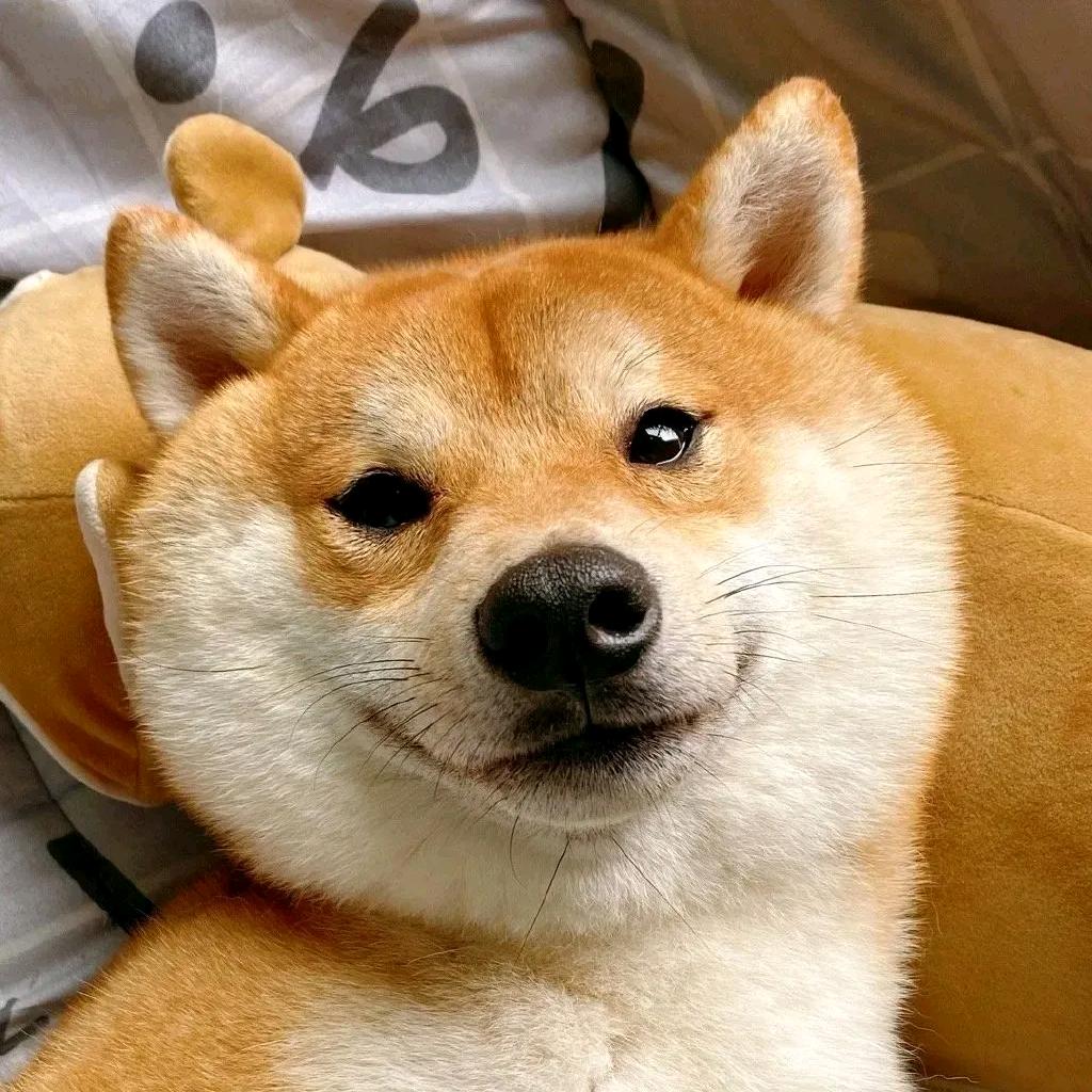 七月的风