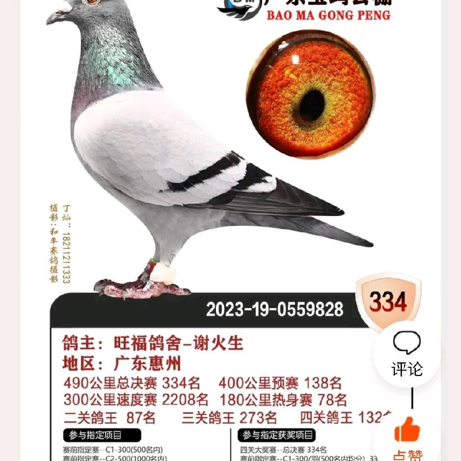 旺福鸽舍-谢火生