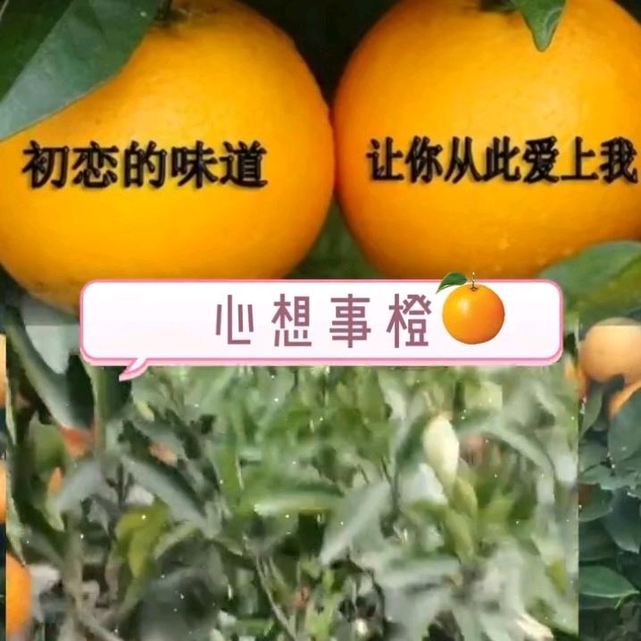 💞好运常随ঞ᭄༊