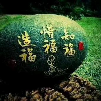 军哥优选