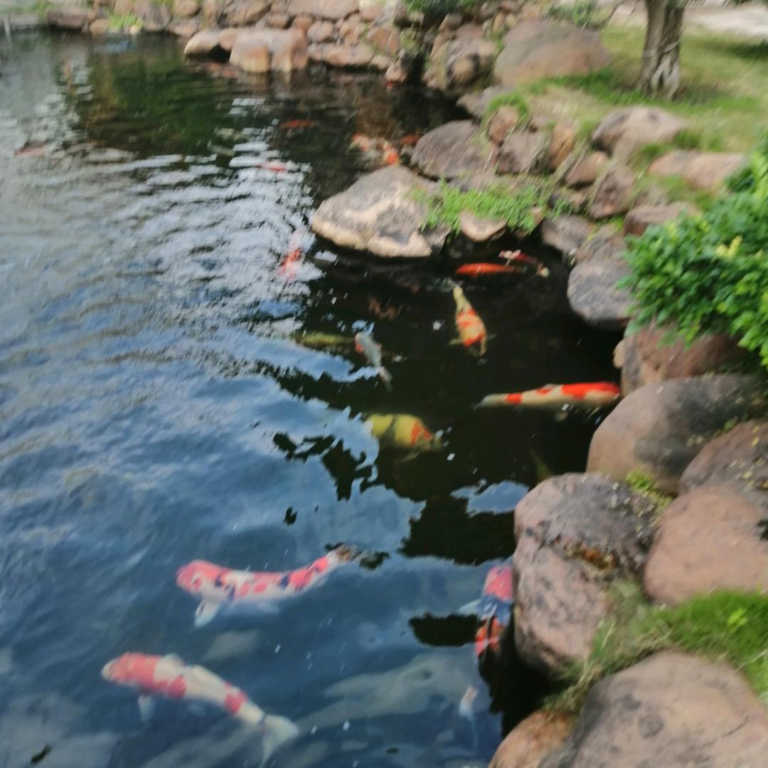静然