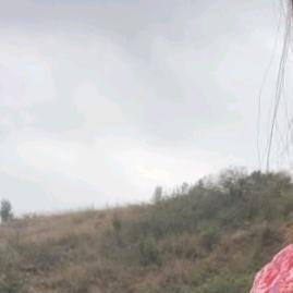 元仙的农村生活
