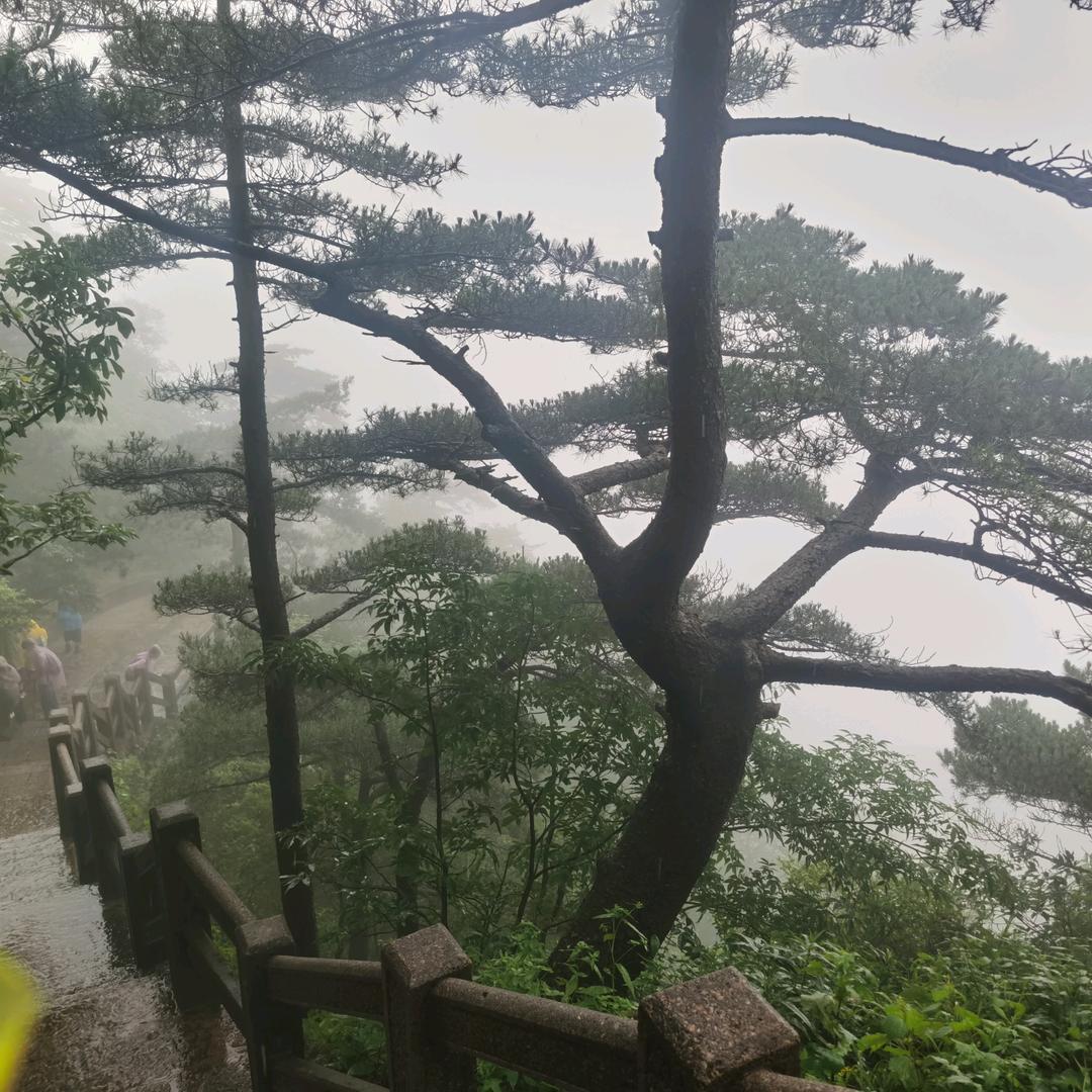 周哥夜市