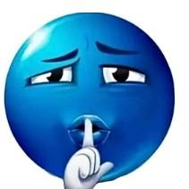 喜欢王MC的张瑞霖