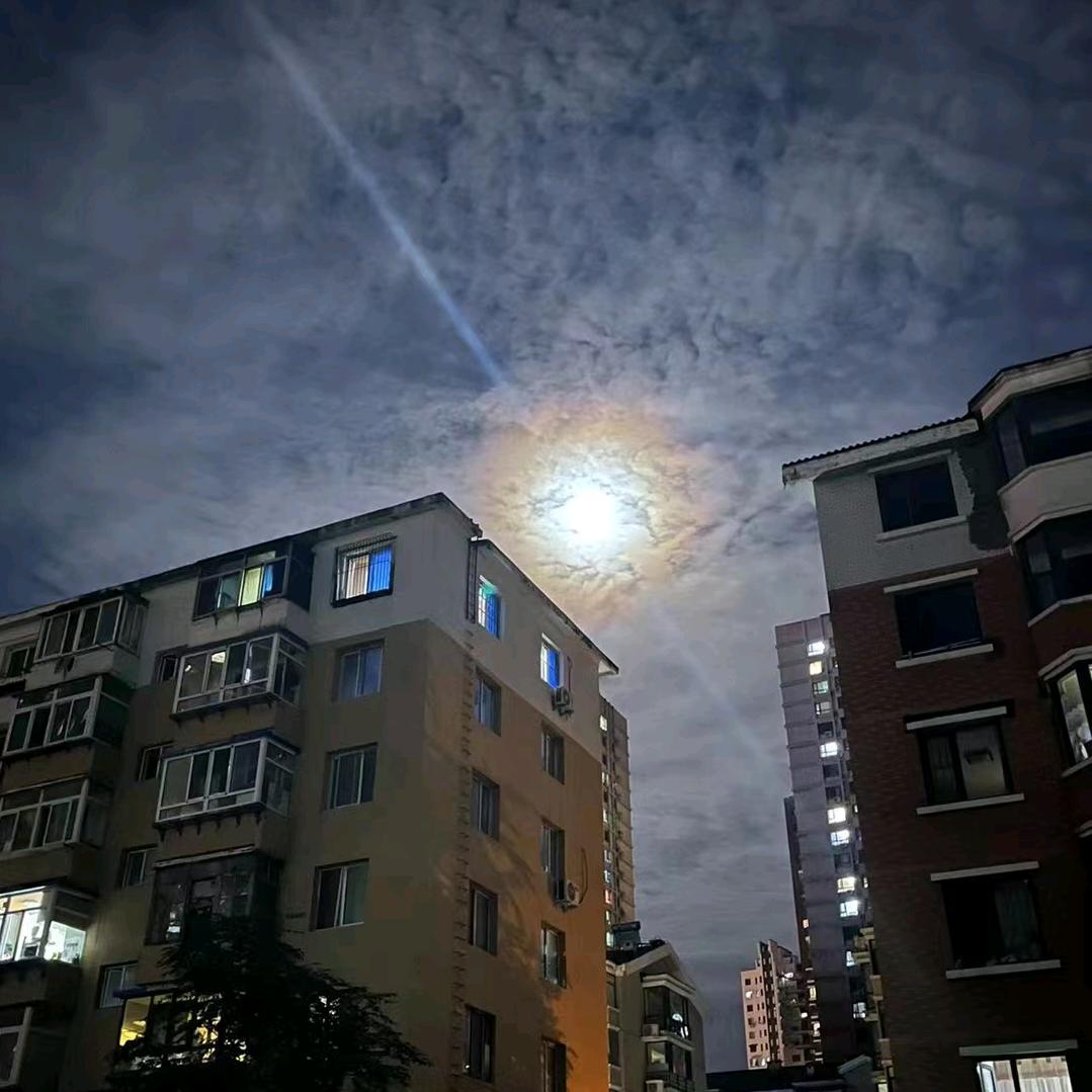浚豪爸爸