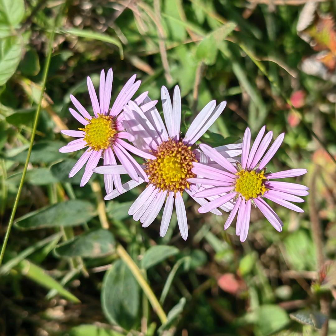 点点儿美肤工作室