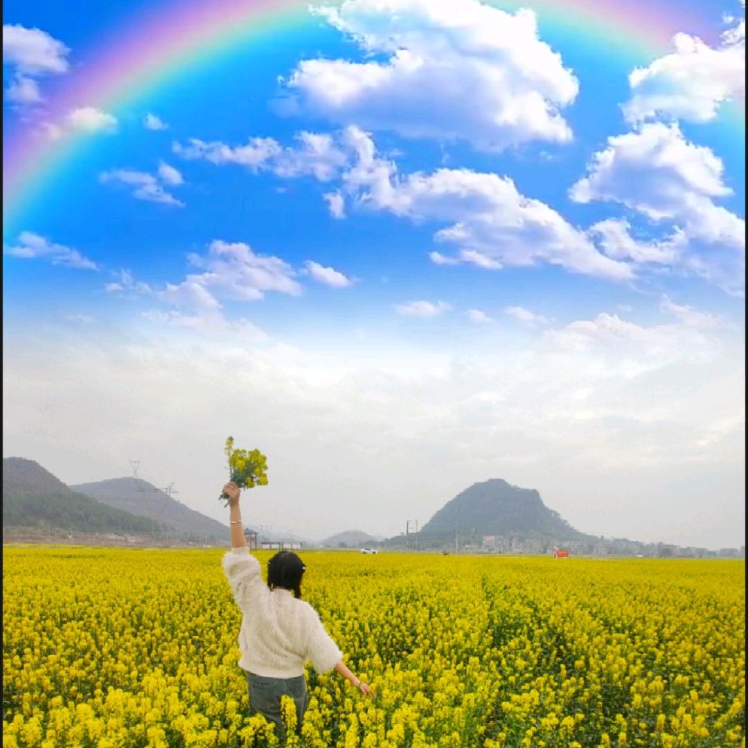 琳达