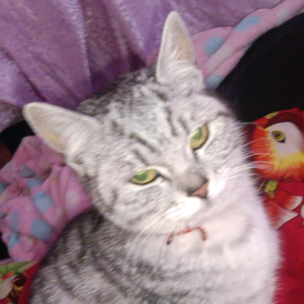 董事长（找知己）