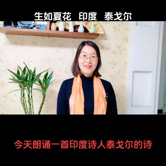 诗意的生活