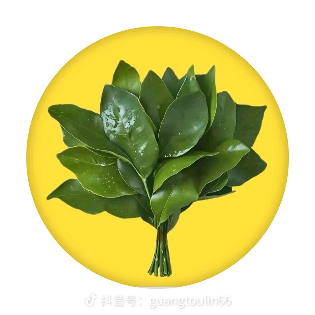 高晓宇