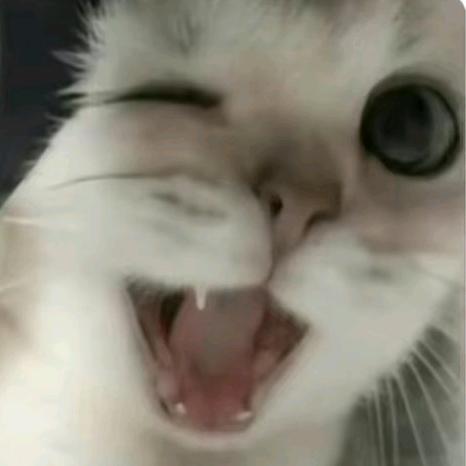 🌈🌈🌈🌈🌈🌈🌈🌈