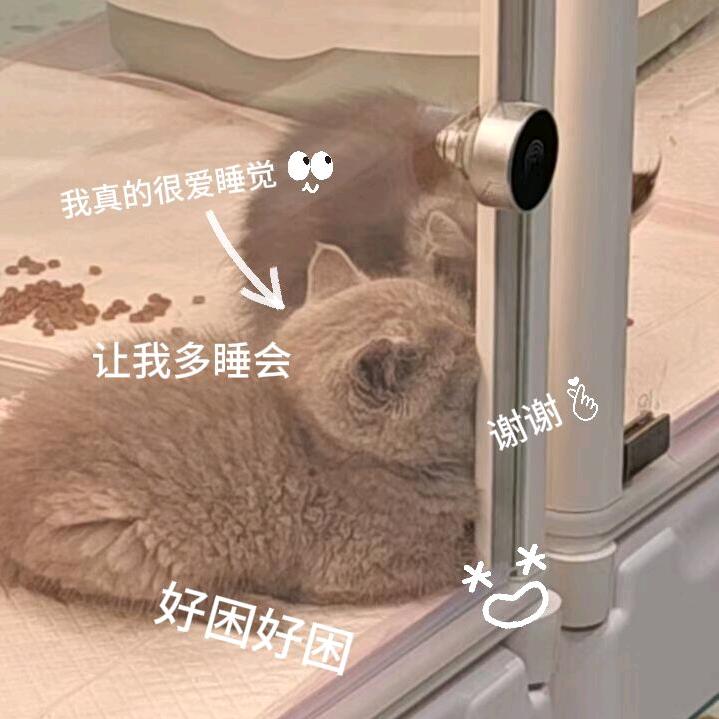 小川（回归ow版）