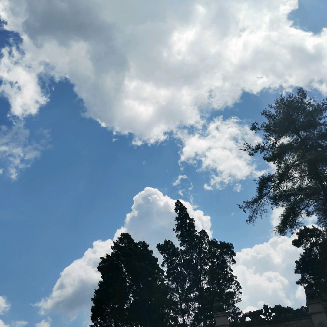 昏昏倒地（使用魔法版）