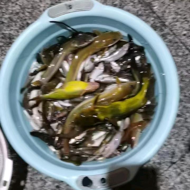 农村小胖