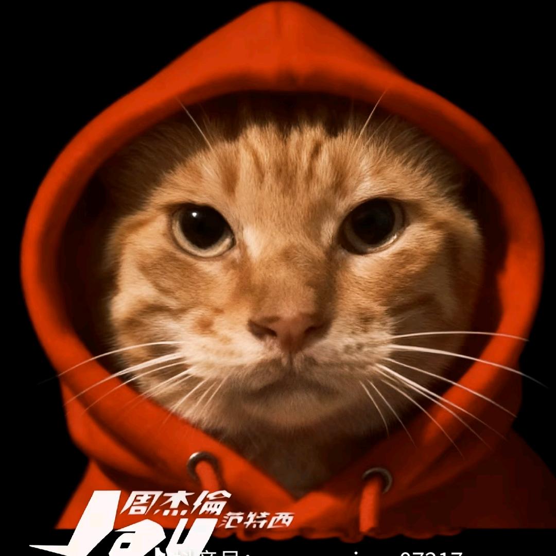 6岁网恋被骗10块从此不相信爱情