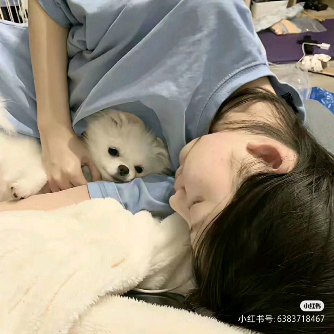 挚爱.