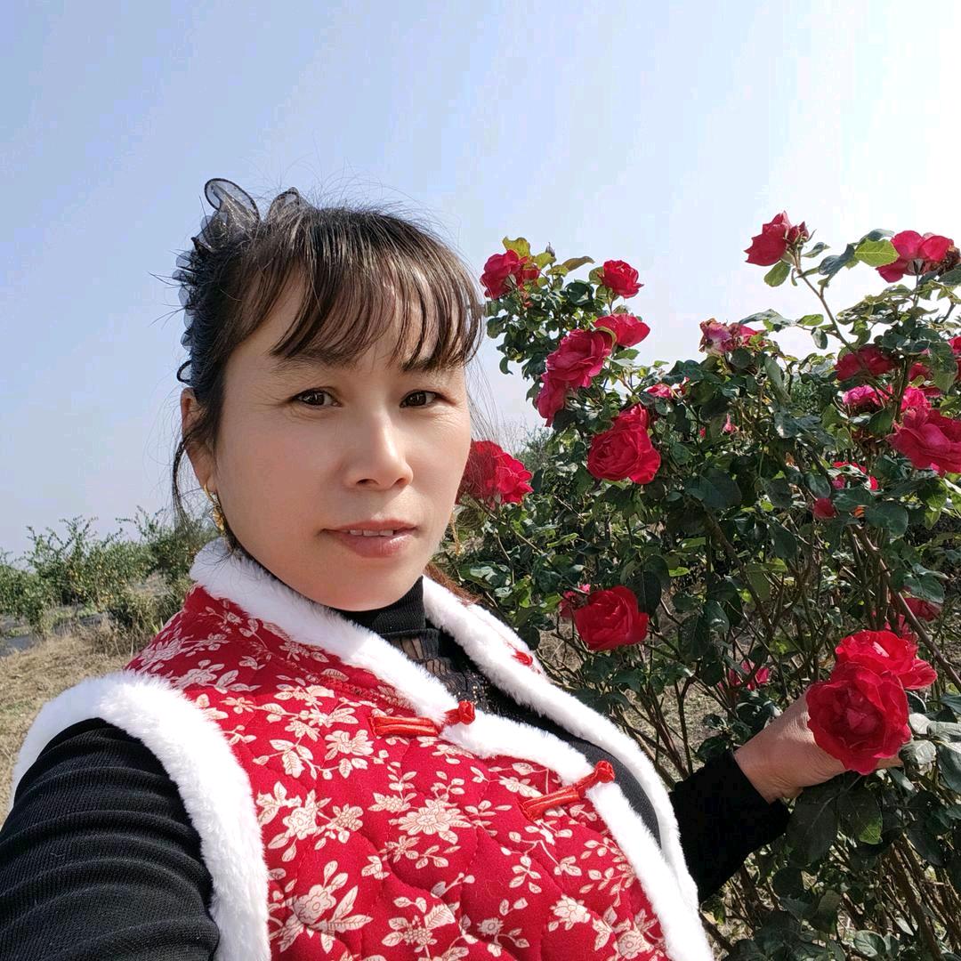 心心