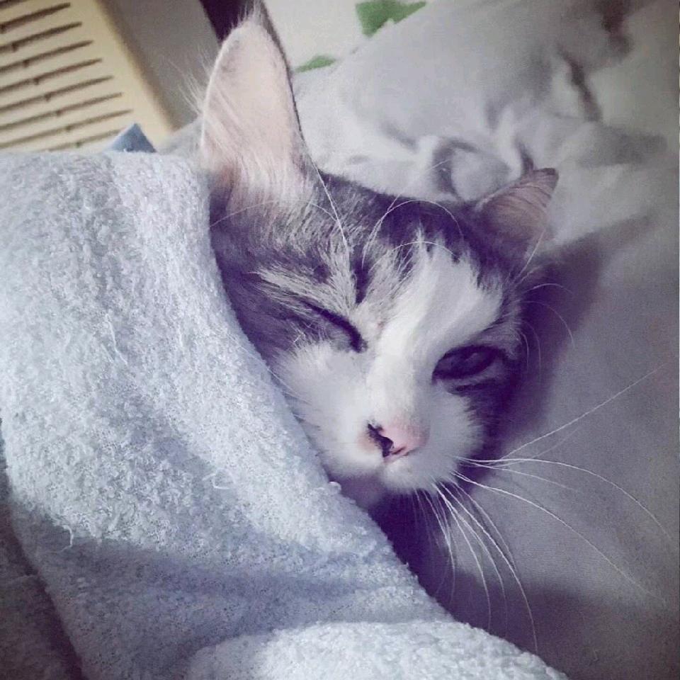 ☁️小云朵吖☁️