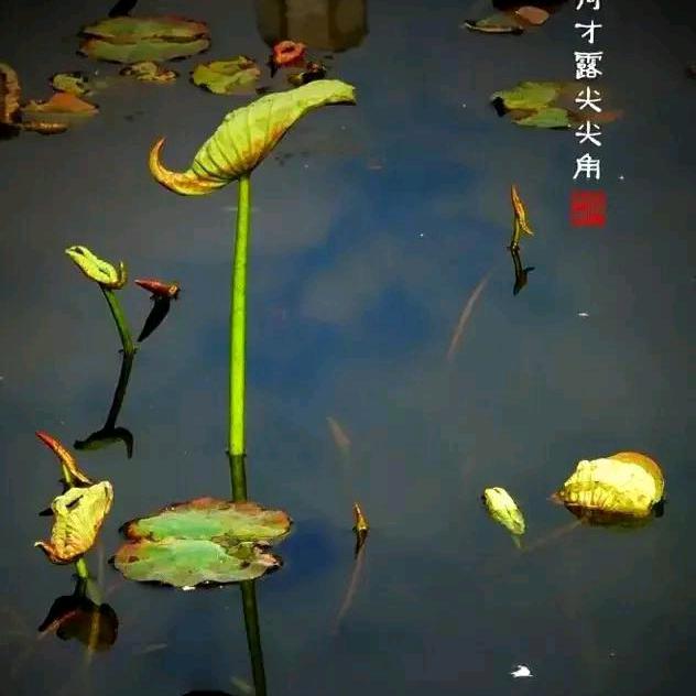 奋斗