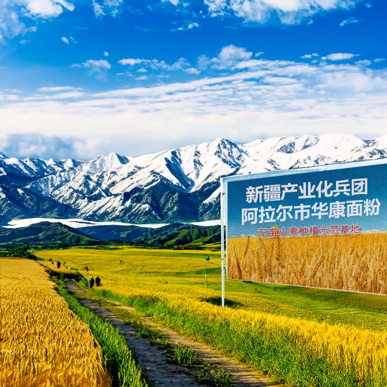 新疆好味道