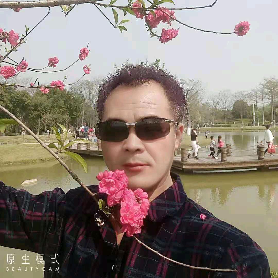 隆安县荷兰猪豚鼠养殖基地