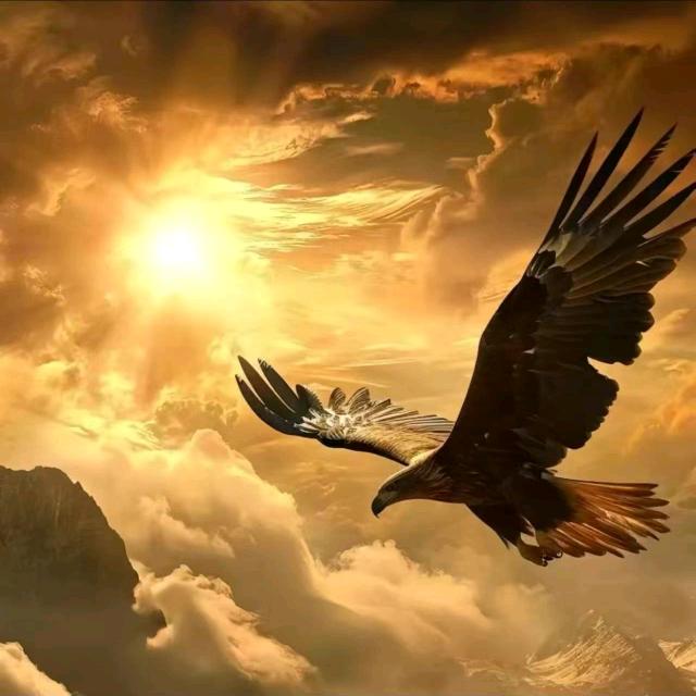 💥((🔥重⥎啟🔥))💥