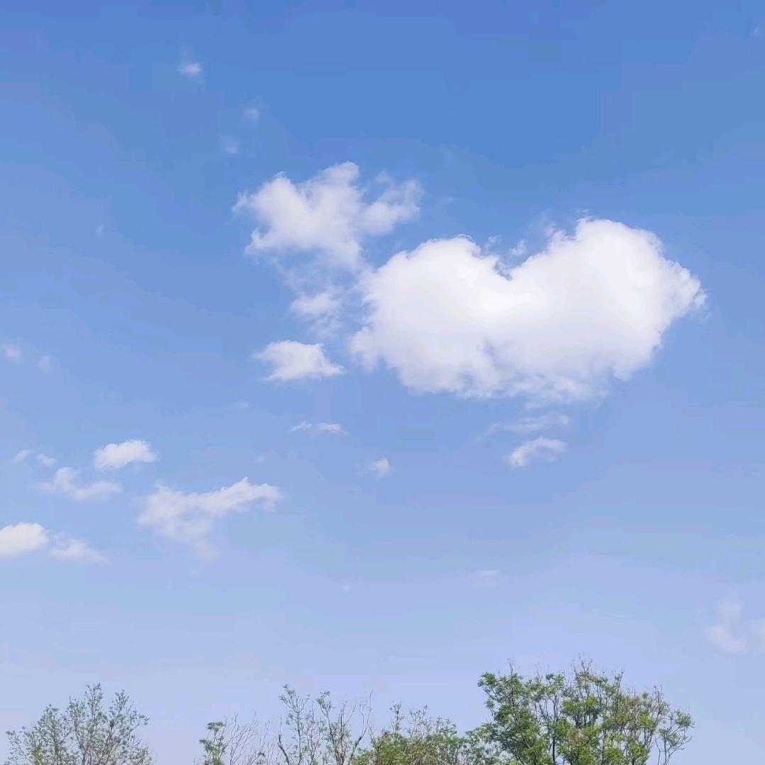 与风说心事✐๊ؓ