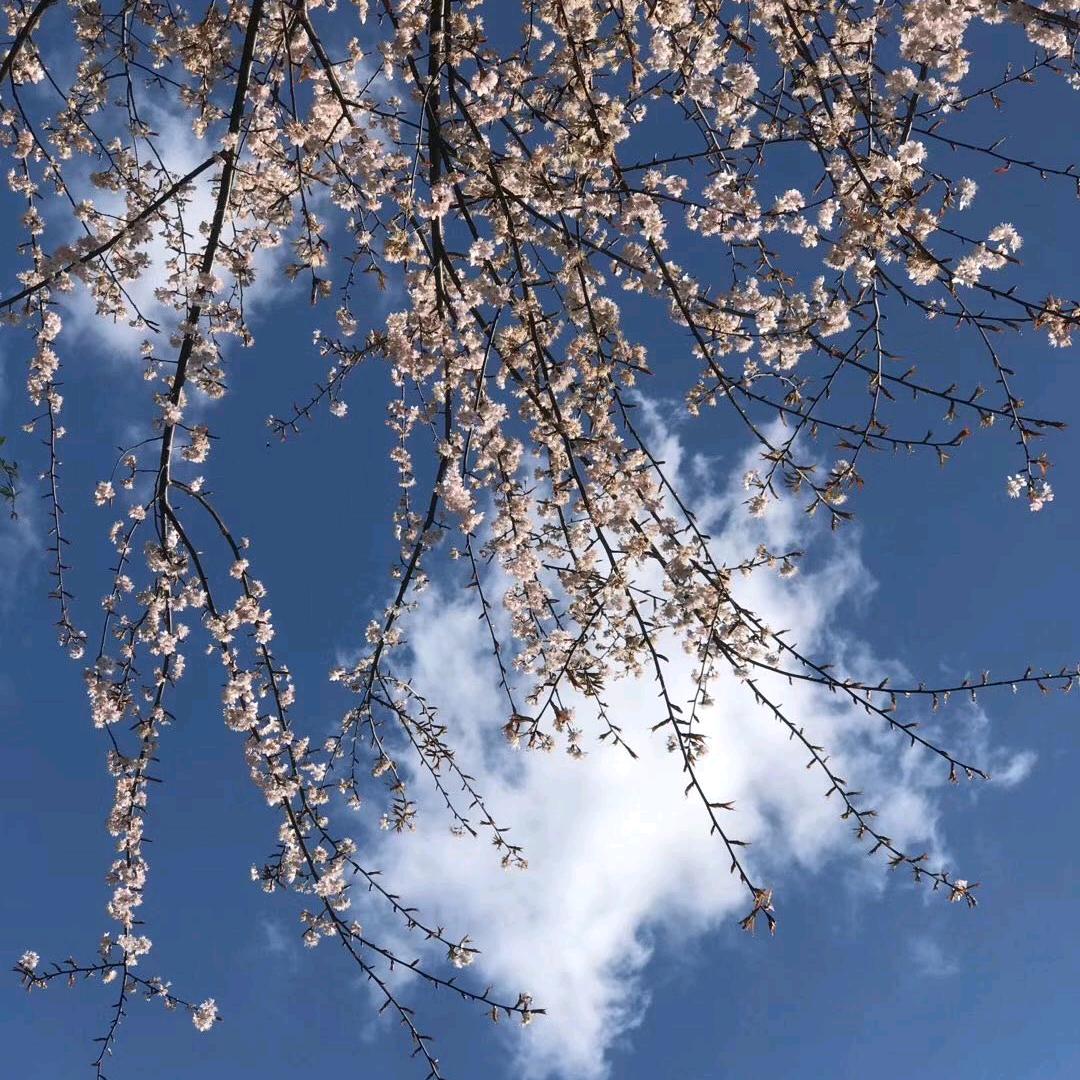 江银