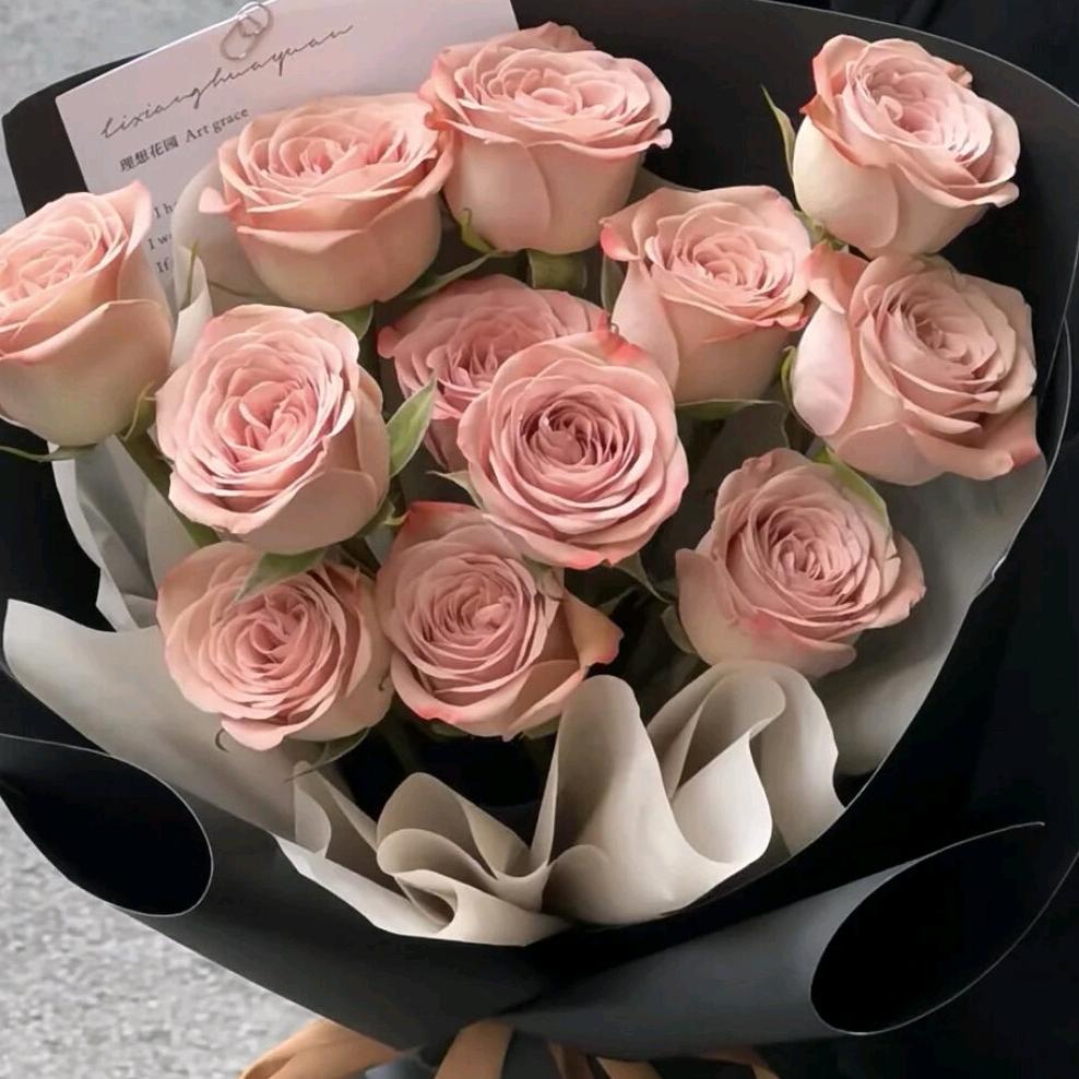 江苏教师编上岸版