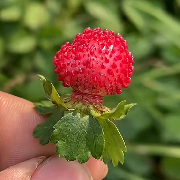 💞⁵²º᭄💖ℳঞ᭄💖ζั餘生有你