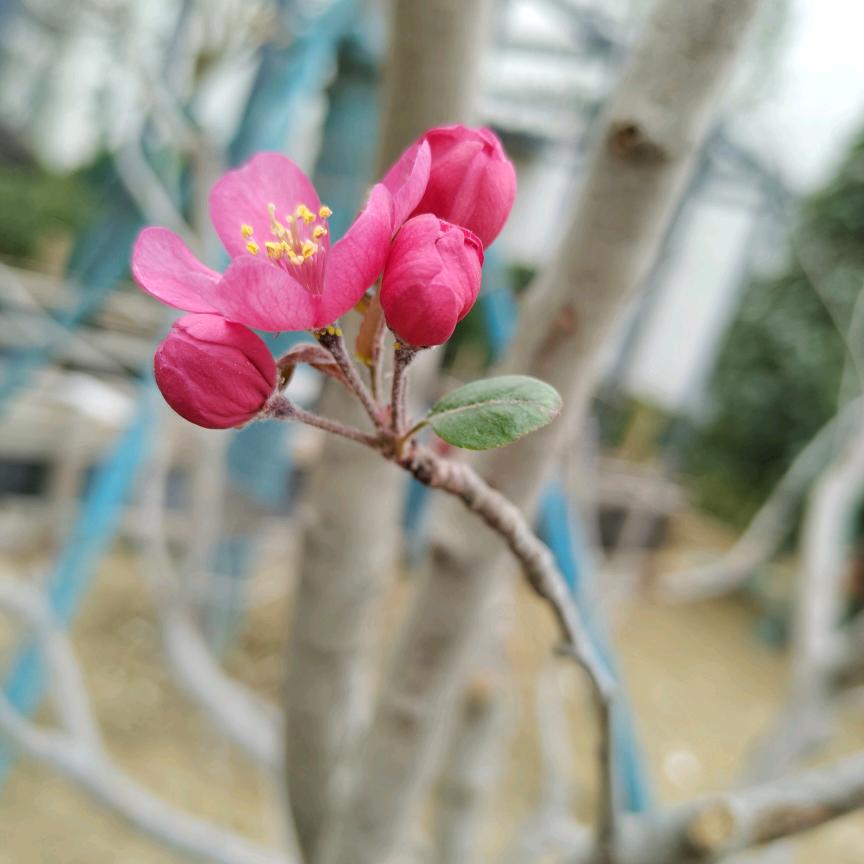 微笑的姐